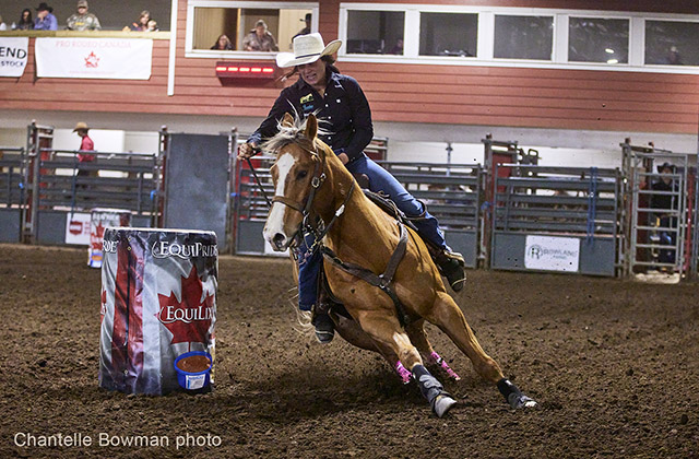 Taylor Manning & Archie. Chantelle Bowman image