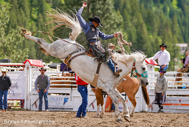 Tyrel Roberts - Falkland Stampede