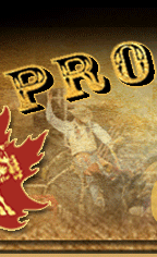 Pro Rodeo