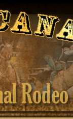 Professional Rodeo